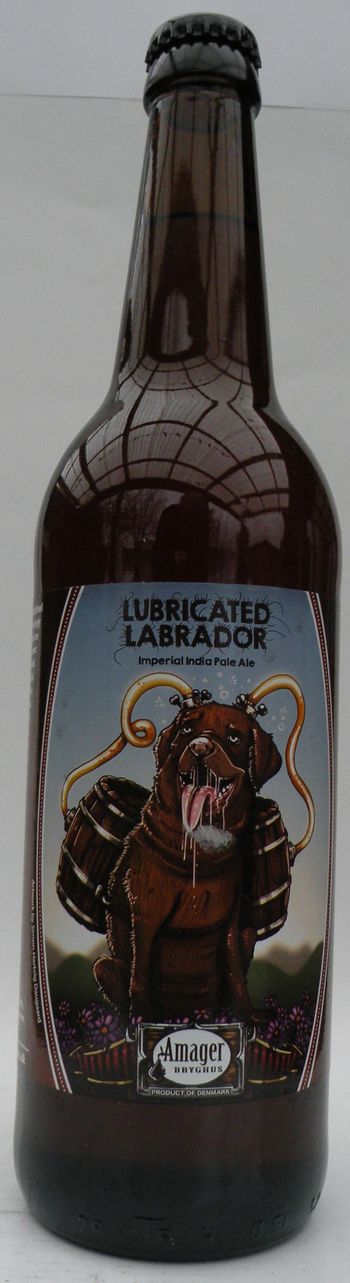 Amager Lubricated Labrador